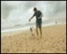 Optimum dog Food Beach’