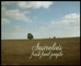 Woolworths Supermarkets Campaign 2 