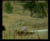 McDonalds –Big Tasty ‘Friendly Farmer’ 