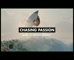 Danone YoPRO - Chasing Passion – Stephanie Gilmore 