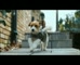 Ardberg Whiskey – Dog Delivery for Fathers Day 