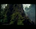 Swisse Kids For Little Explorers 