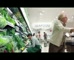Woolworths service ' Lost Coin'