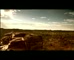 Toyota Landcruiser Food Chain