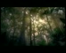 BBC UK Olympics ‘Animals’UK Global Spot