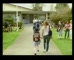 Peters Entice 'School'