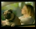 Pedigree light Car'