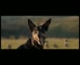 Natures Table – Aussie Dog’s Right’ 