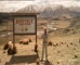Ranfurly Frontier Lager 