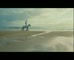 Bingle ‘Horses’ 