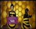 Buzz Car Insurance - Zumba