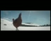 KFC UK Xmas 2018 – Chickens Here to Stay
