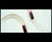 Nissan Range Take a closer Look
