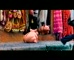 Visa 'Pigs'