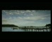 Optus 'Whale Song' 