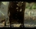 Westpac 'Clean up'