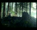 John West ‘Into The Woods’ 