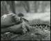 POM Wonderful ‘Snake’ 