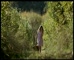 Bakers Delight ‘Fresh’ Dir