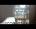 McCafe ‘Latte’ 