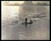Macquarie bank Business Otter Tools 