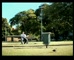 Tip Top Sunblest  - 3 points