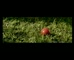 Foxtel 'Tumble'