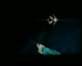 P&O Cruises ‘Earthlings’ 