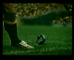 Qantas Rugby World Cup 'Synchronisation'