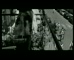 David Jones ‘Italian Paparazzi’ 