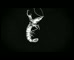 Crust Pizza ‘Prawn to be Wild’ Flutter animation 