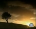 King Island Dairy 