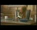 Bankwest Telenet Saver ‘Squirrel’ 