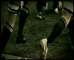 Foxtel - Rugby World Cup