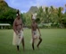 Cook Island Tourism 