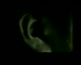 NAB 'Ear'