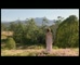 Target Womens Fashion - Styled by Nature’ 