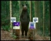 Aldi ‘Bear’’ Shampoo’ ‘Tuna’ 