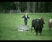 Devondale – Fresh Milk ‘Takeover’ 