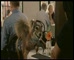 Bankwest ‘Cafe/Bad Hair’ 