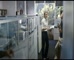 ICE Addiction ‘ Destroys Lives’