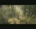 Solo Man –Legend of Lemon Tree 