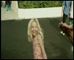 Theme Parks Qld ‘Wish’ 