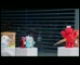 Big W ‘Annual Toy Sale 2018 