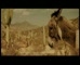 Expedia  ‘Donkey’    