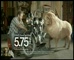 Rams Saver A/c ‘Bike’ 