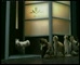 Purina Fancy Feast -Sushi train