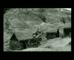 SpecSavers – Sheep Shearing 