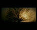 Annies Lane 'Imagine'