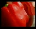 Masterfoods 'Create'